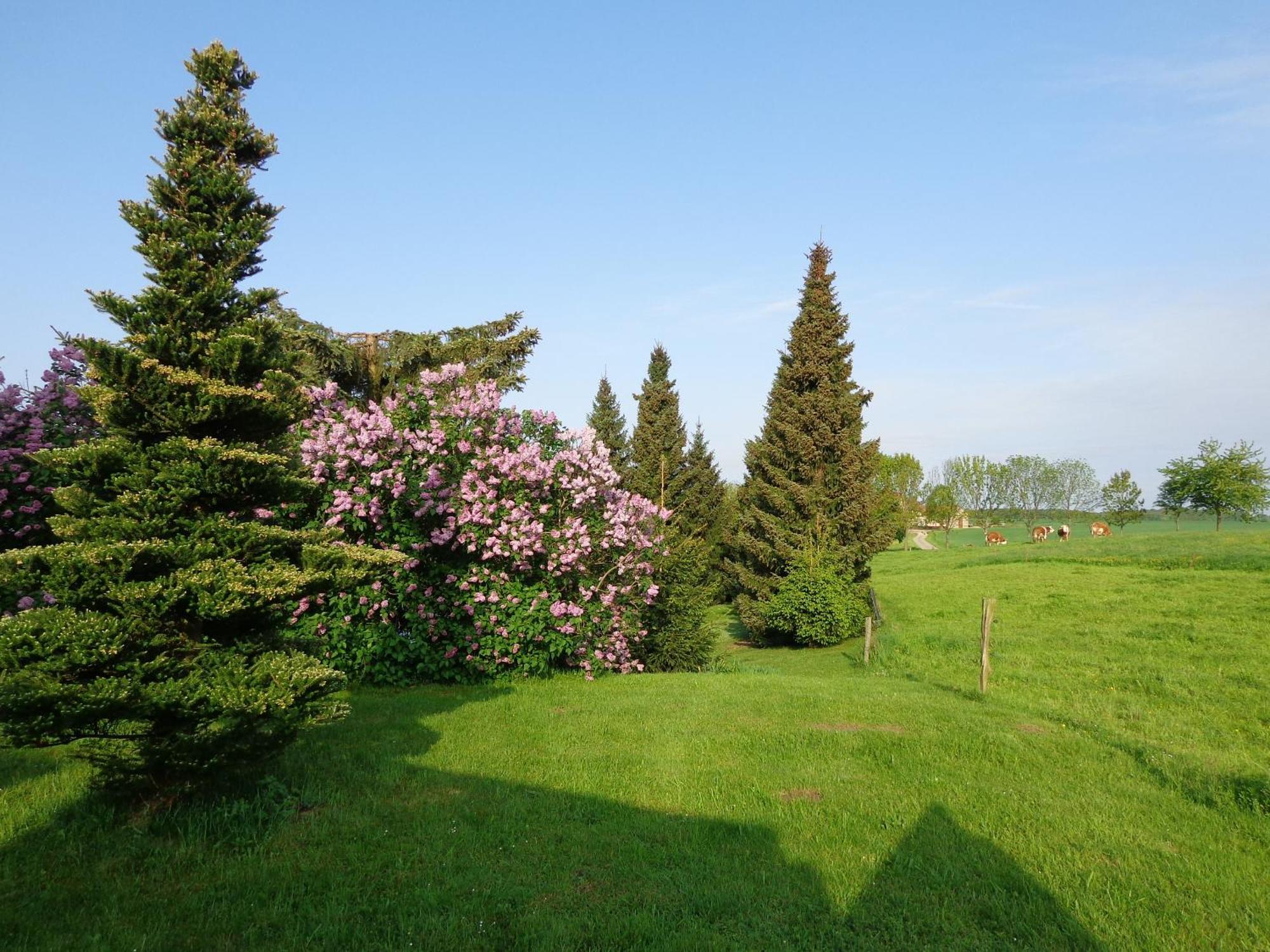 Pension Sonnenhuegel Markersdorf Extérieur photo