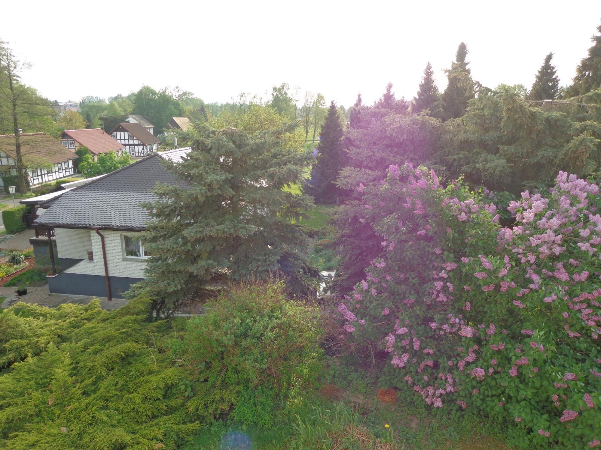 Pension Sonnenhuegel Markersdorf Extérieur photo
