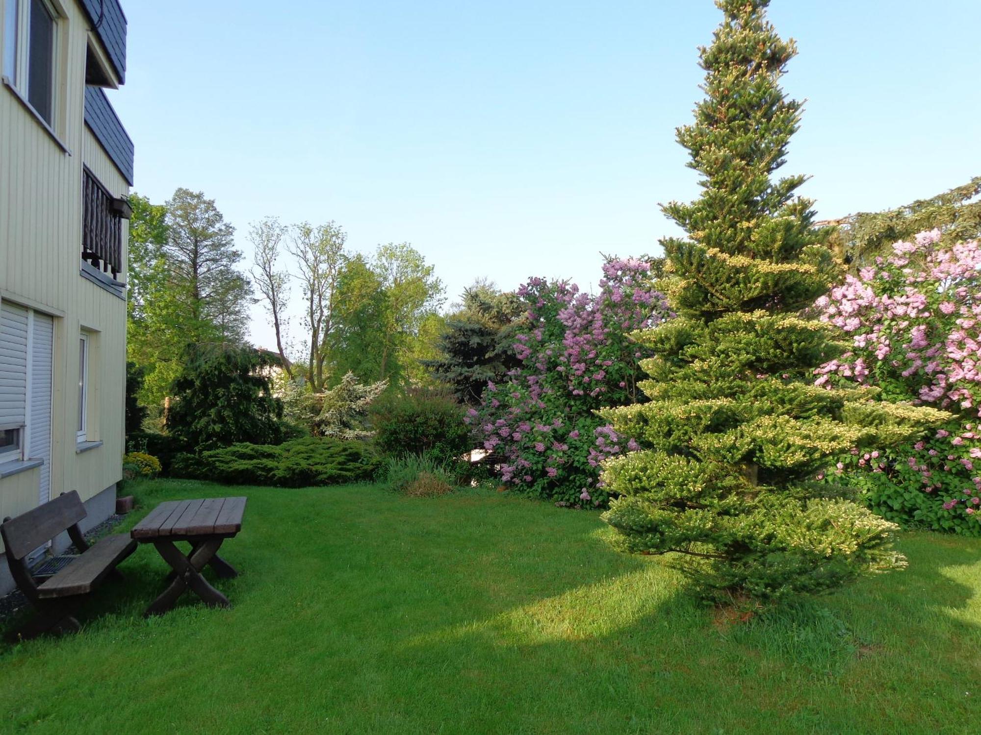 Pension Sonnenhuegel Markersdorf Extérieur photo